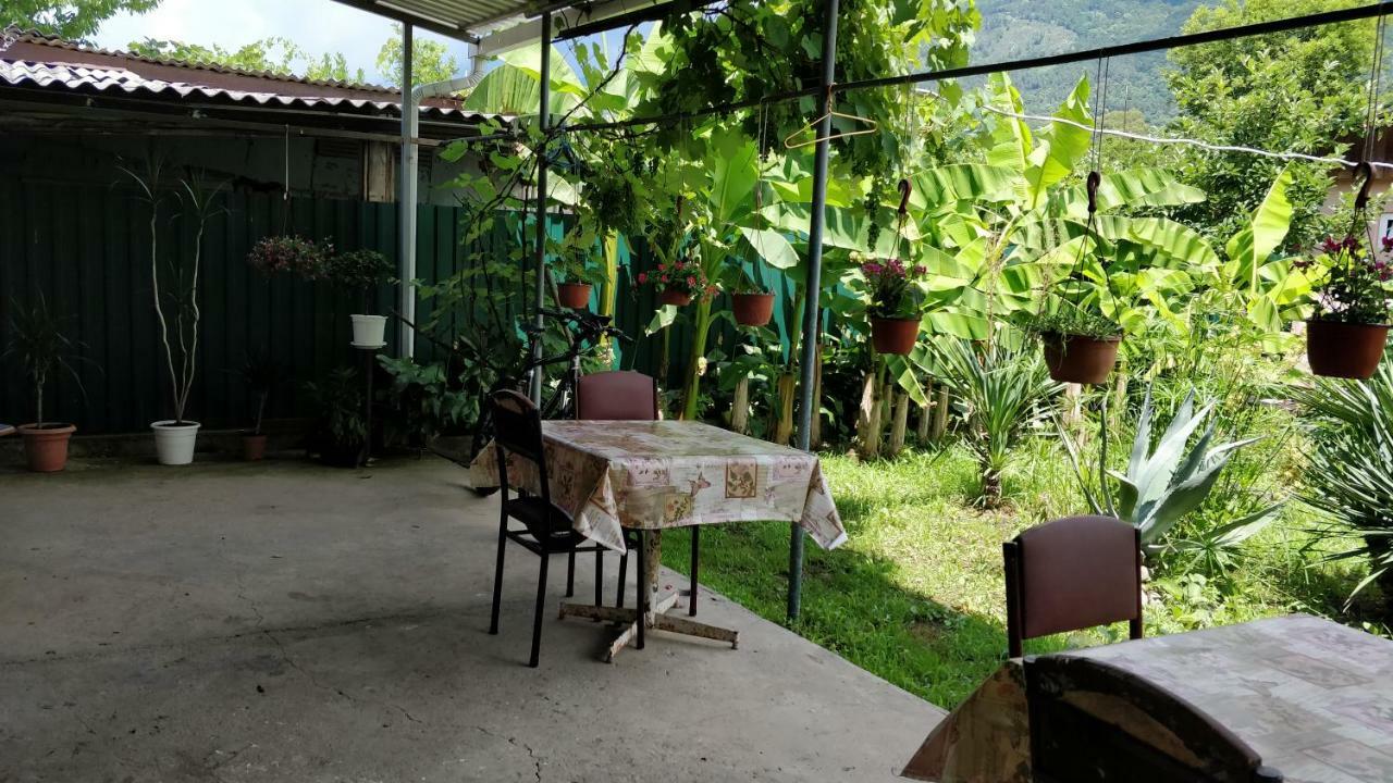 Tikhaya Gavan Guest House Gagry Zewnętrze zdjęcie